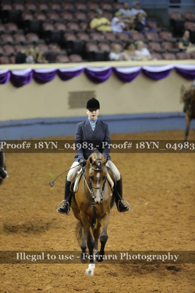 Proof 18YN_04983