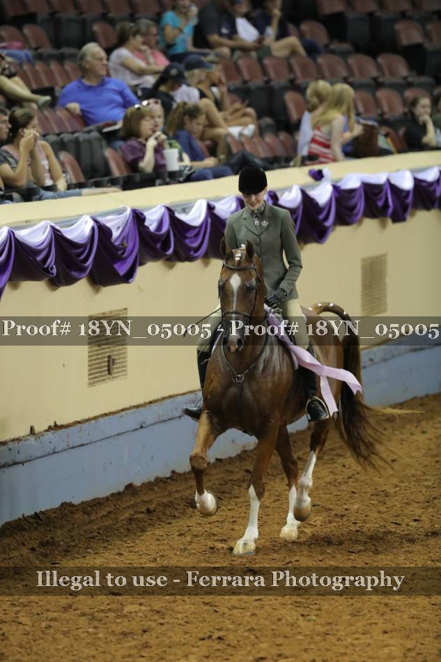 Proof 18YN_05005