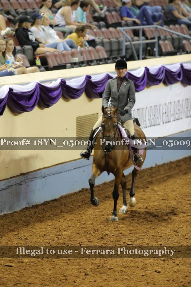 Proof 18YN_05009