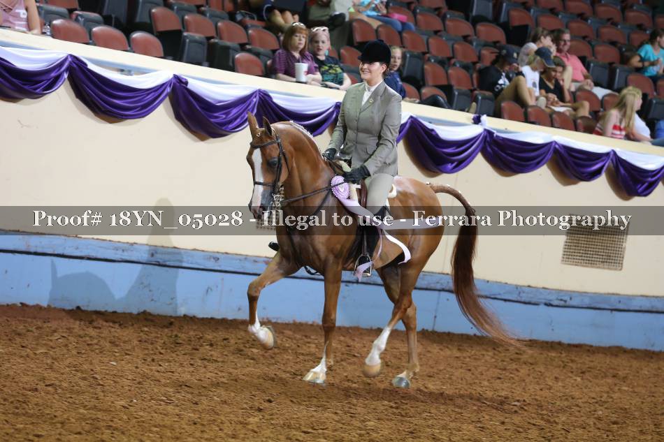 Proof 18YN_05028