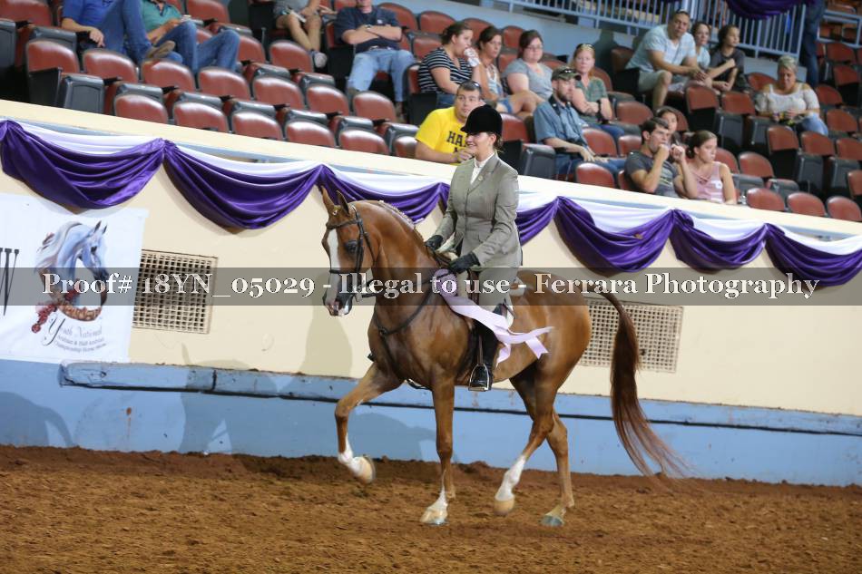 Proof 18YN_05029
