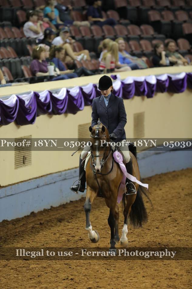 Proof 18YN_05030