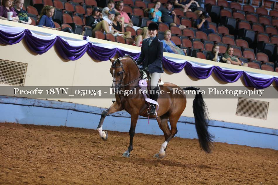 Proof 18YN_05034