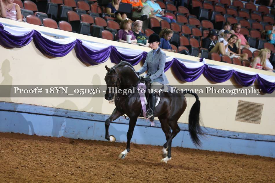 Proof 18YN_05036