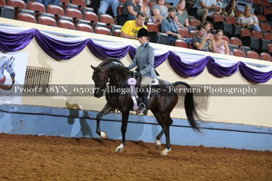 Proof 18YN_05037