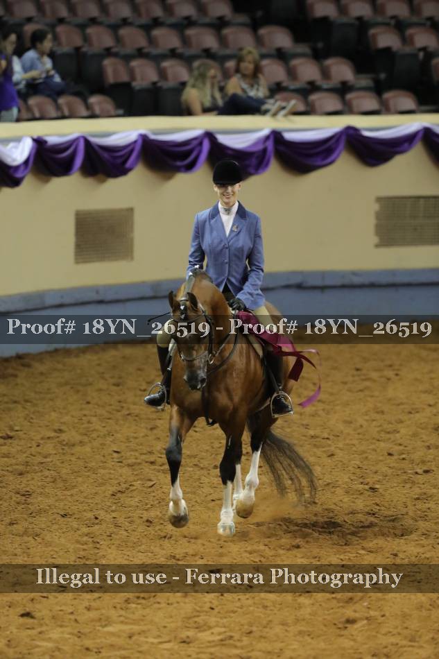 Proof 18YN_26519