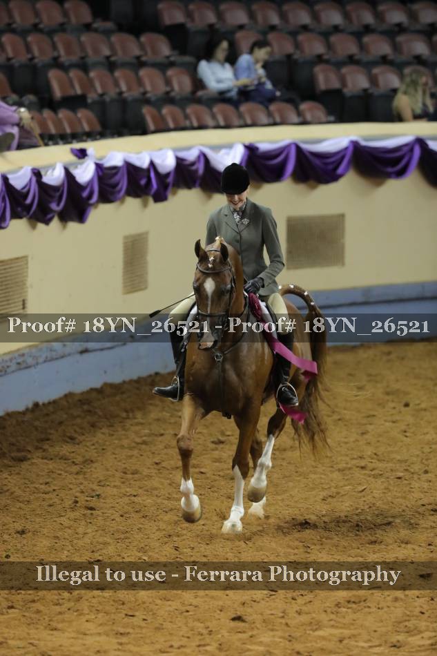 Proof 18YN_26521