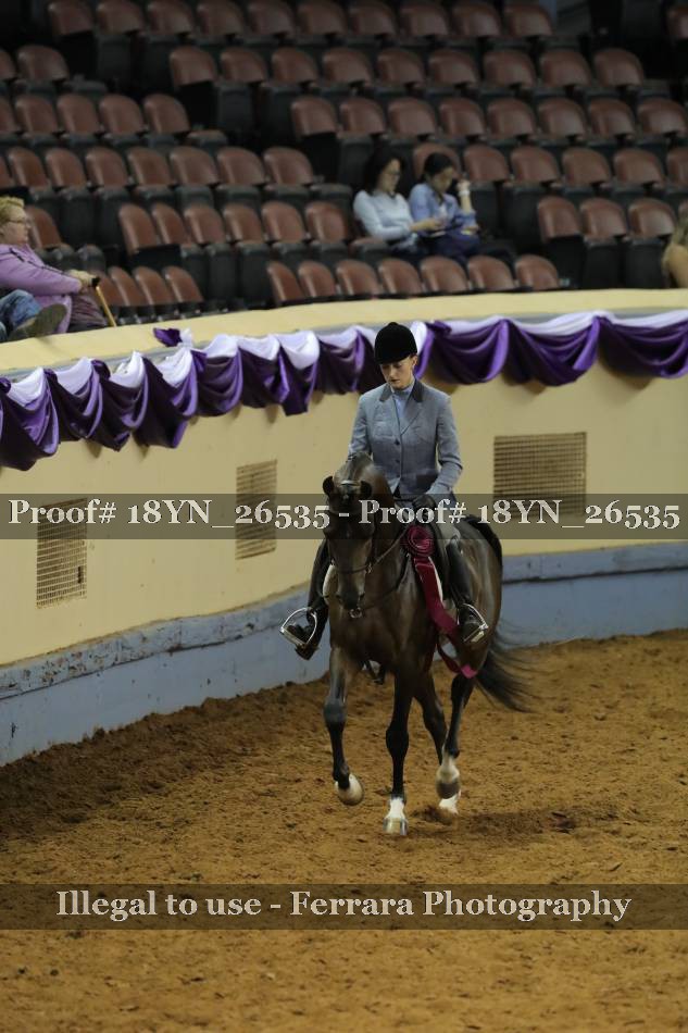 Proof 18YN_26535