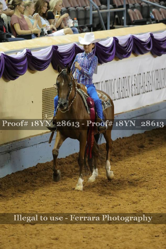 Proof 18YN_28613