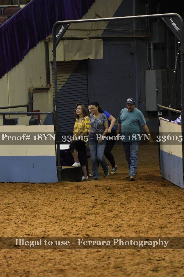 Proof 18YN_33605