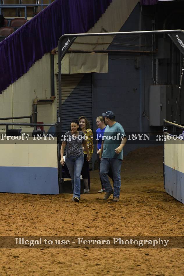 Proof 18YN_33606