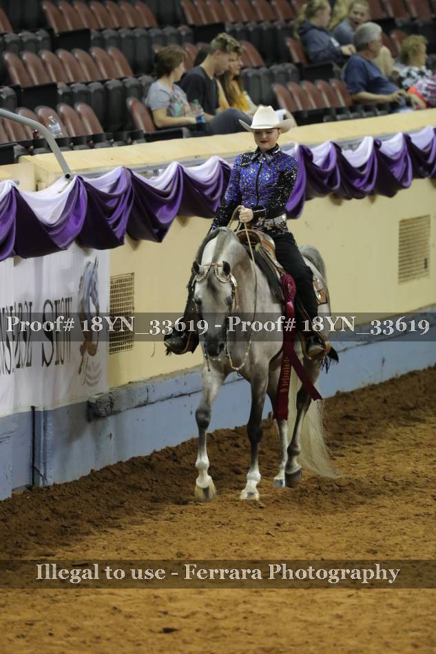 Proof 18YN_33619