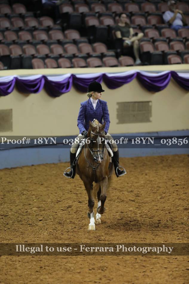 Proof 18YN_03856