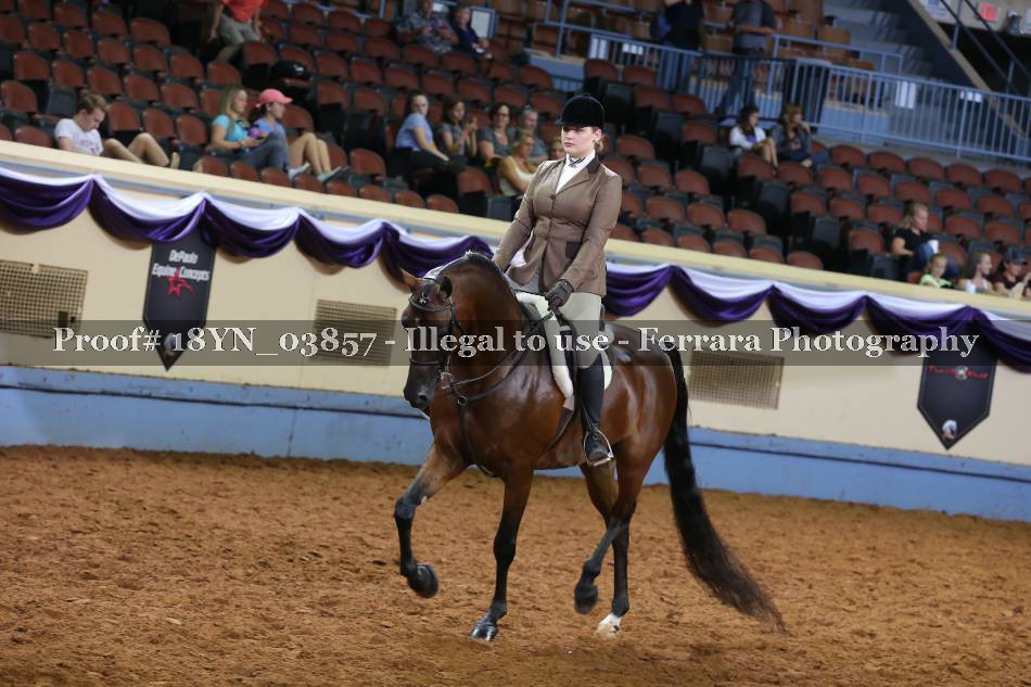 Proof 18YN_03857
