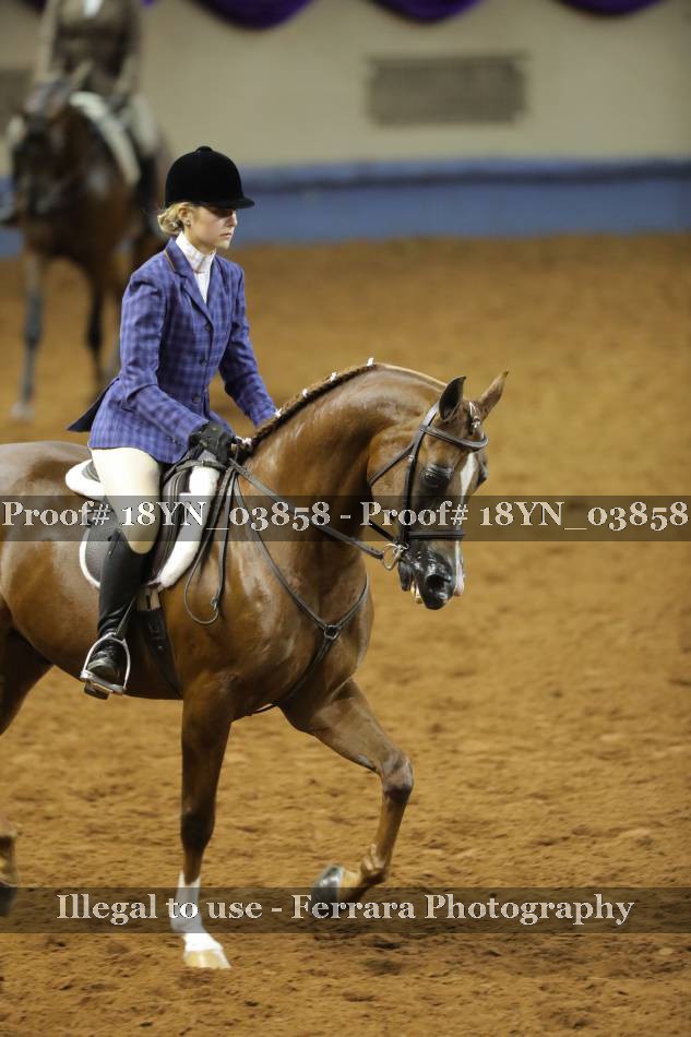 Proof 18YN_03858