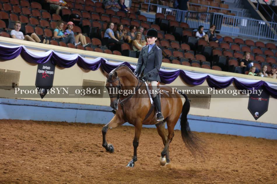 Proof 18YN_03861