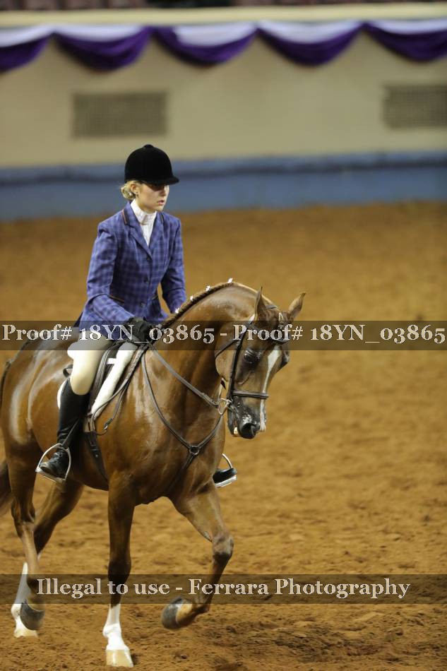 Proof 18YN_03865