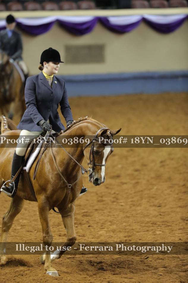 Proof 18YN_03869