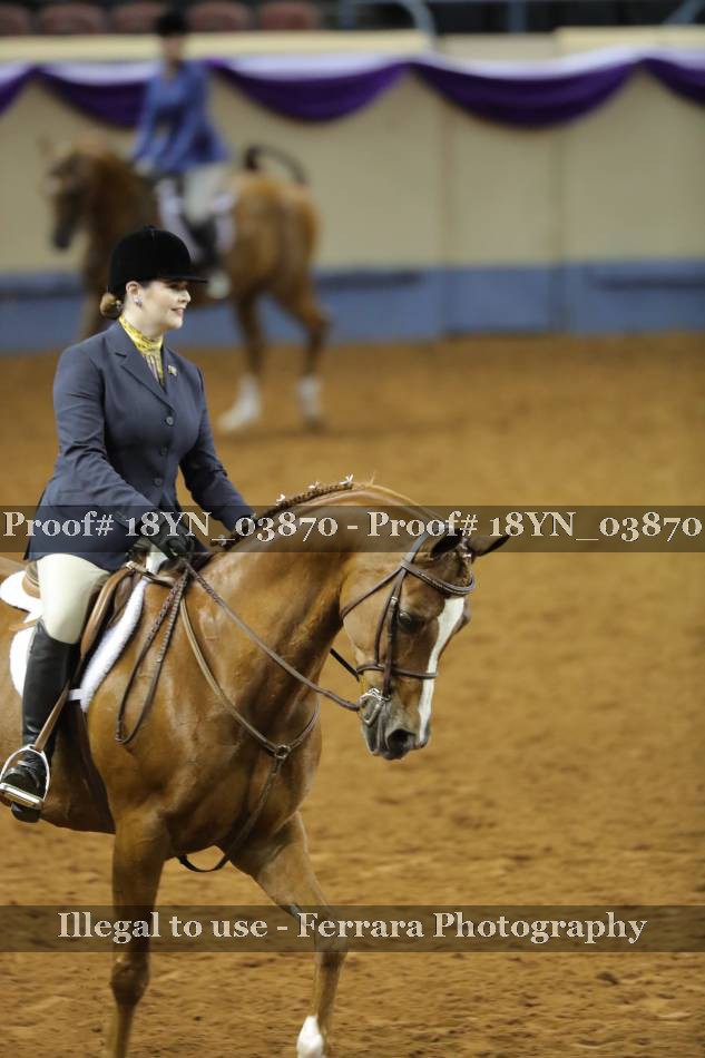Proof 18YN_03870