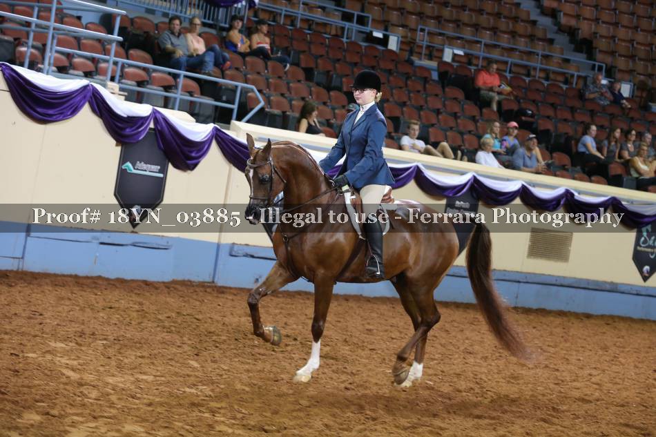 Proof 18YN_03885