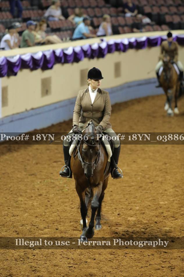 Proof 18YN_03886