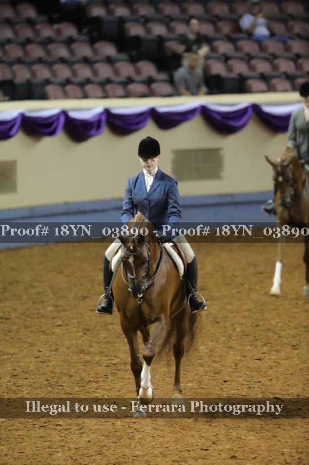 Proof 18YN_03890