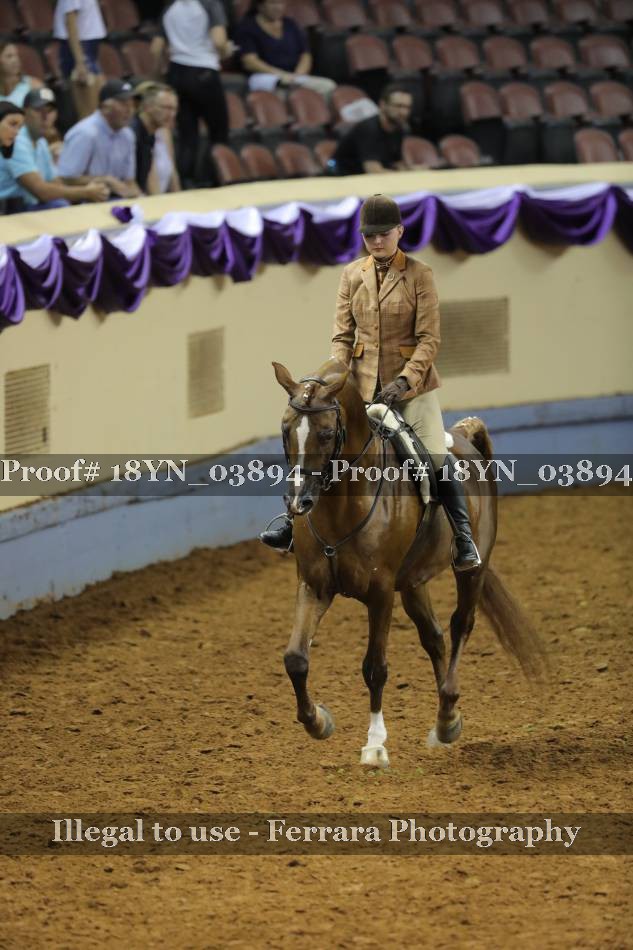 Proof 18YN_03894
