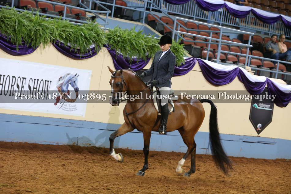Proof 18YN_03895