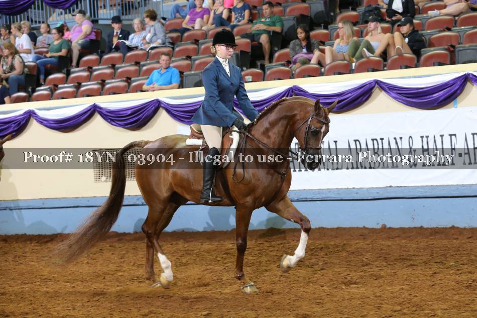 Proof 18YN_03904