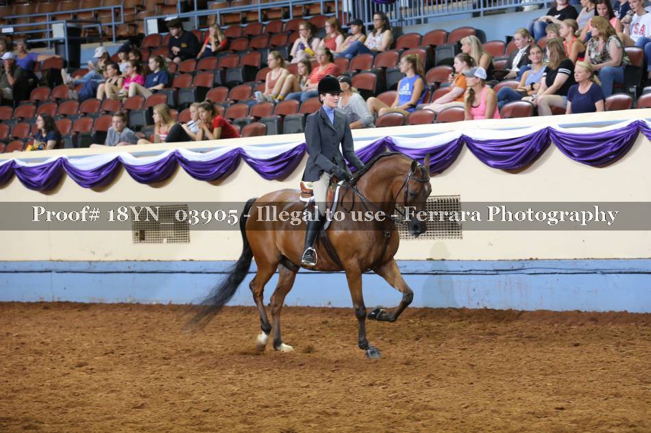 Proof 18YN_03905