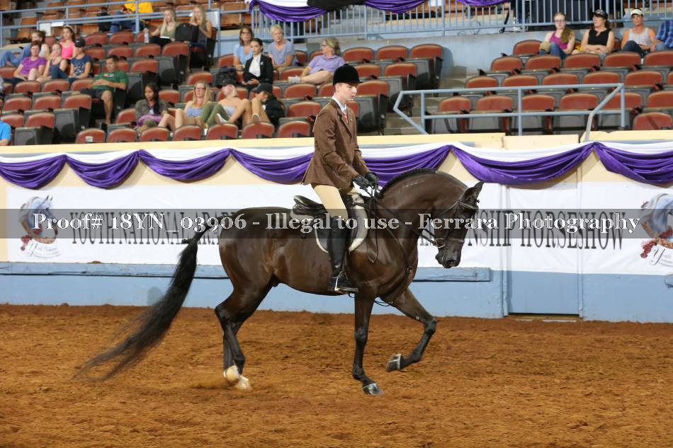 Proof 18YN_03906