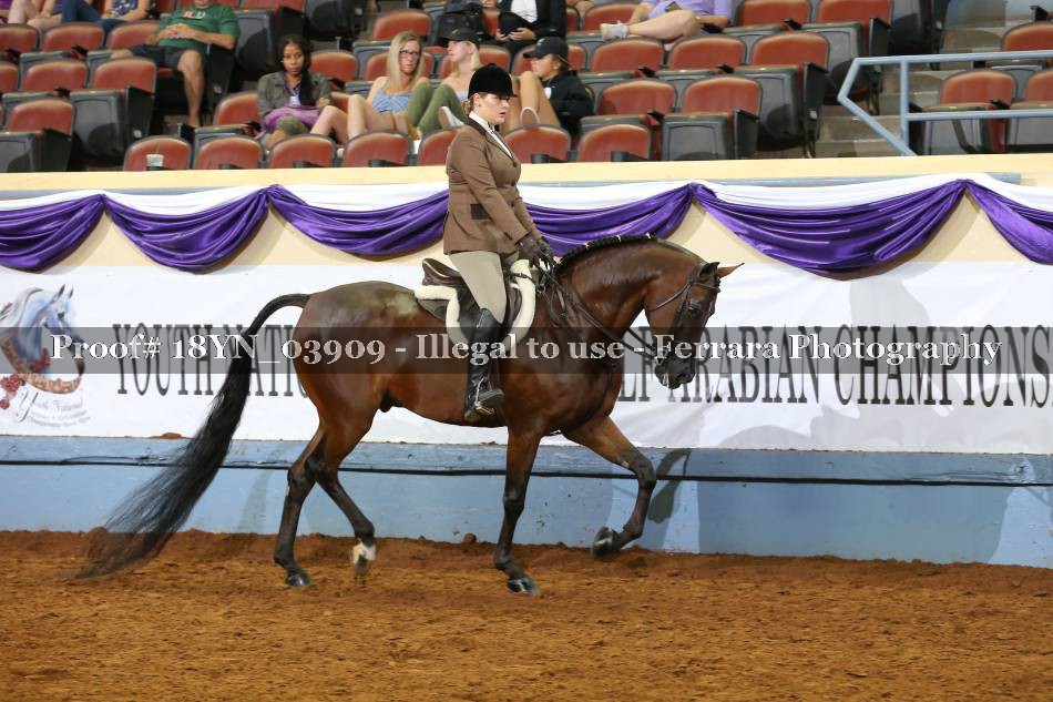 Proof 18YN_03909