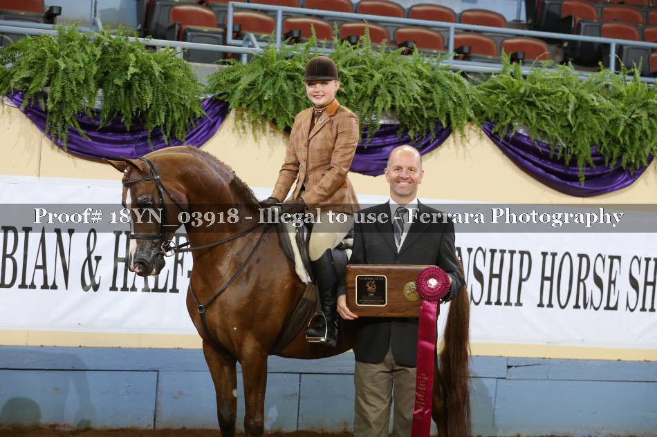 Proof 18YN_03918