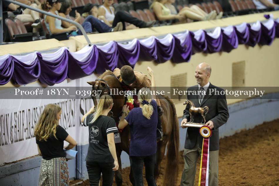 Proof 18YN_03937