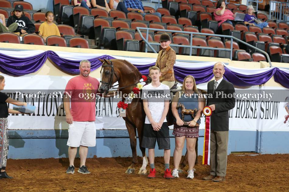 Proof 18YN_03951