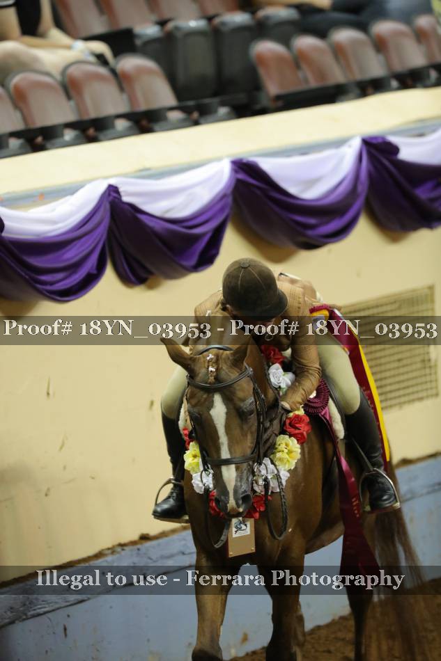 Proof 18YN_03953