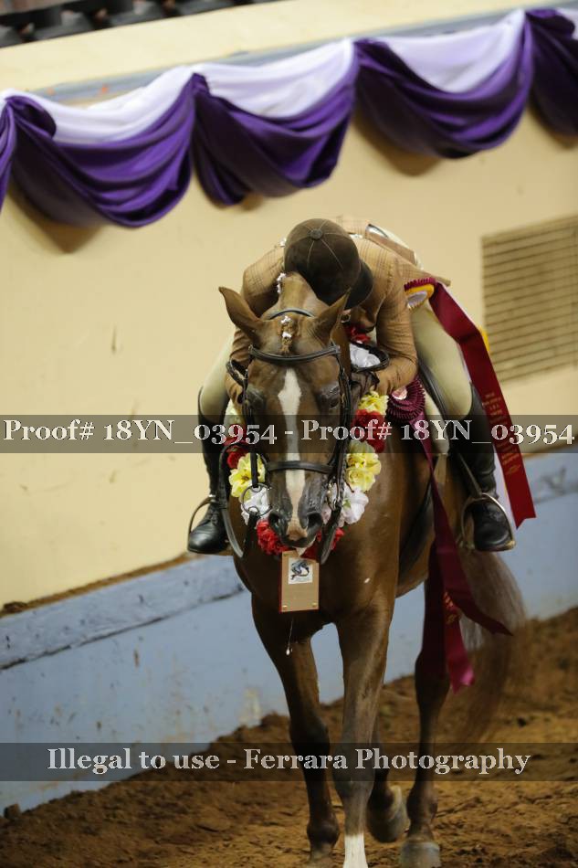 Proof 18YN_03954