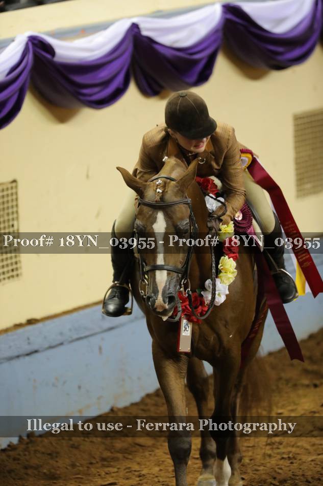 Proof 18YN_03955