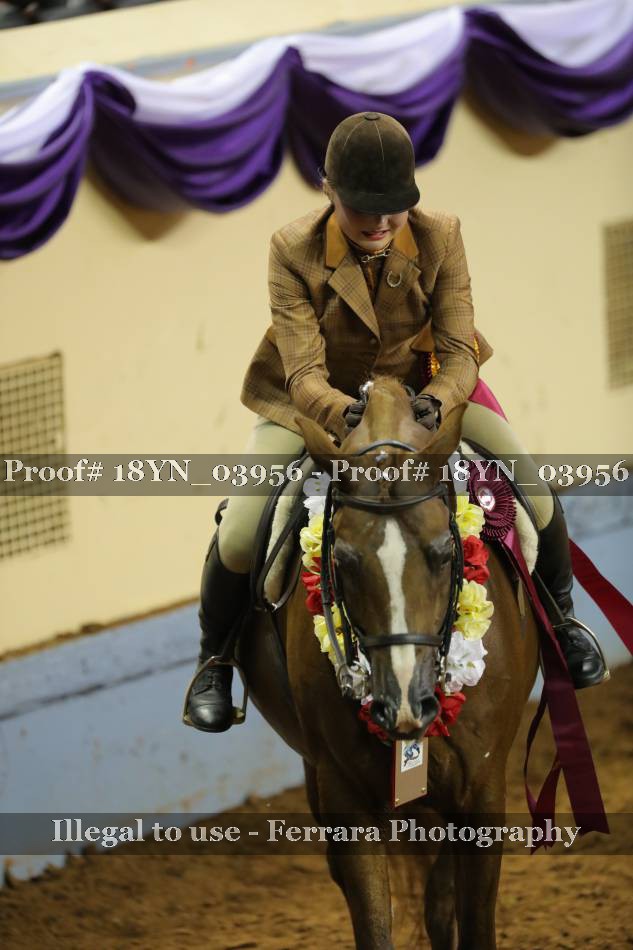 Proof 18YN_03956