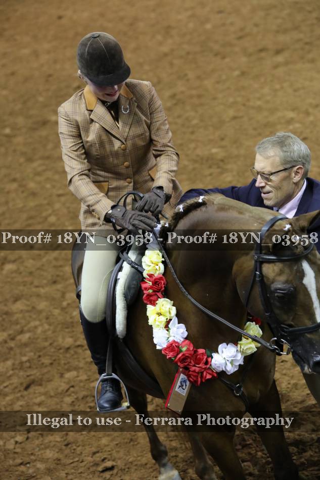 Proof 18YN_03958