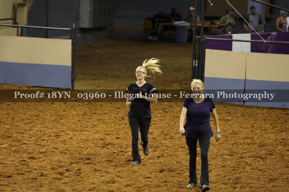 Proof 18YN_03960