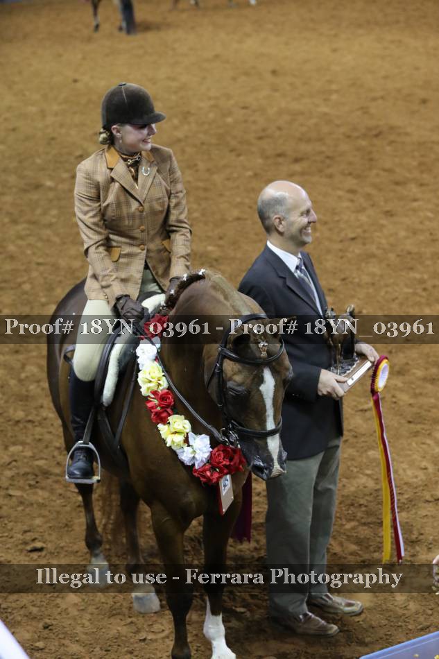 Proof 18YN_03961