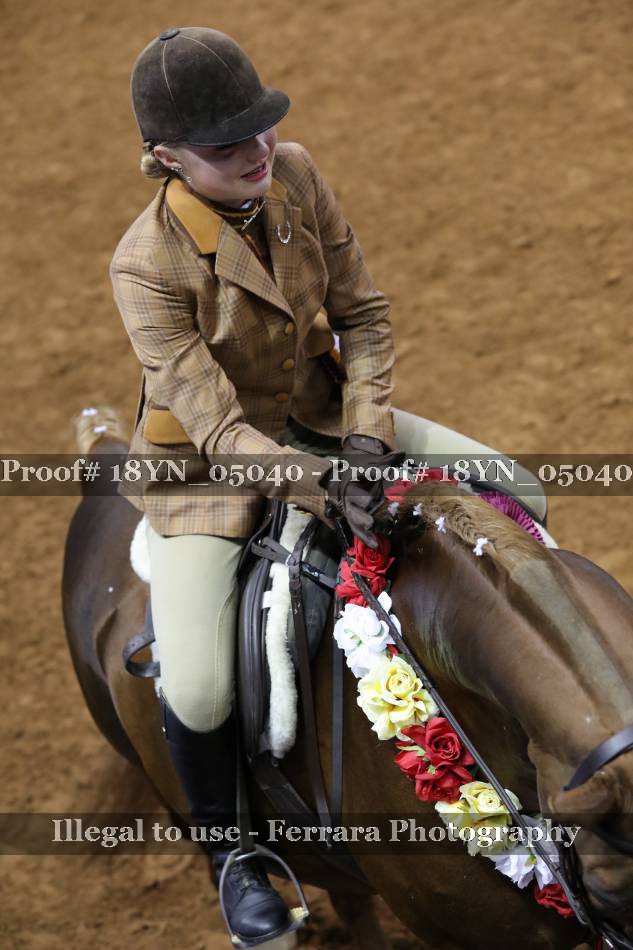 Proof 18YN_05040