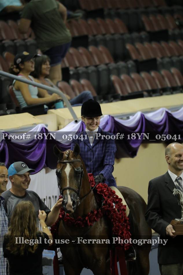 Proof 18YN_05041