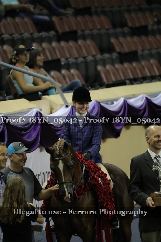 Proof 18YN_05042
