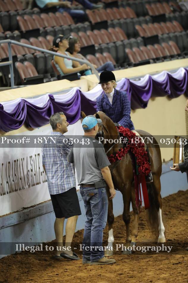 Proof 18YN_05043