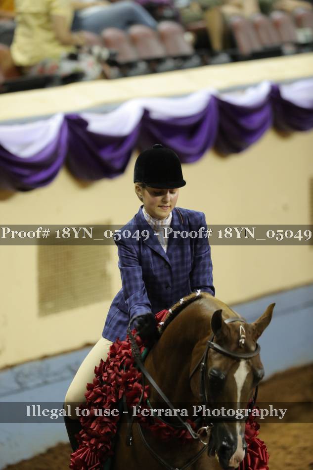 Proof 18YN_05049