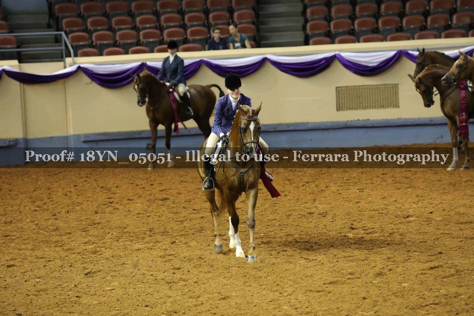 Proof 18YN_05051