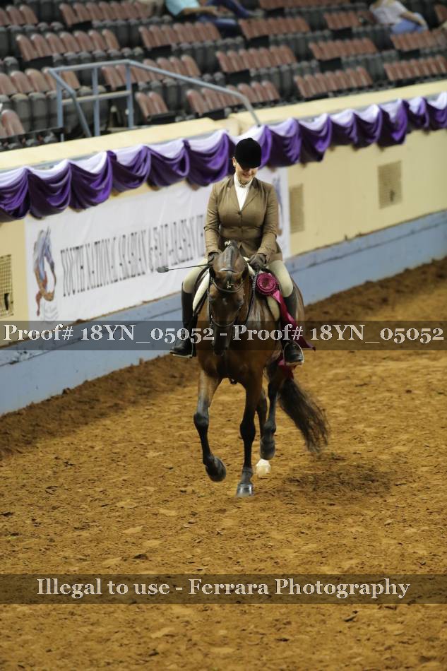 Proof 18YN_05052
