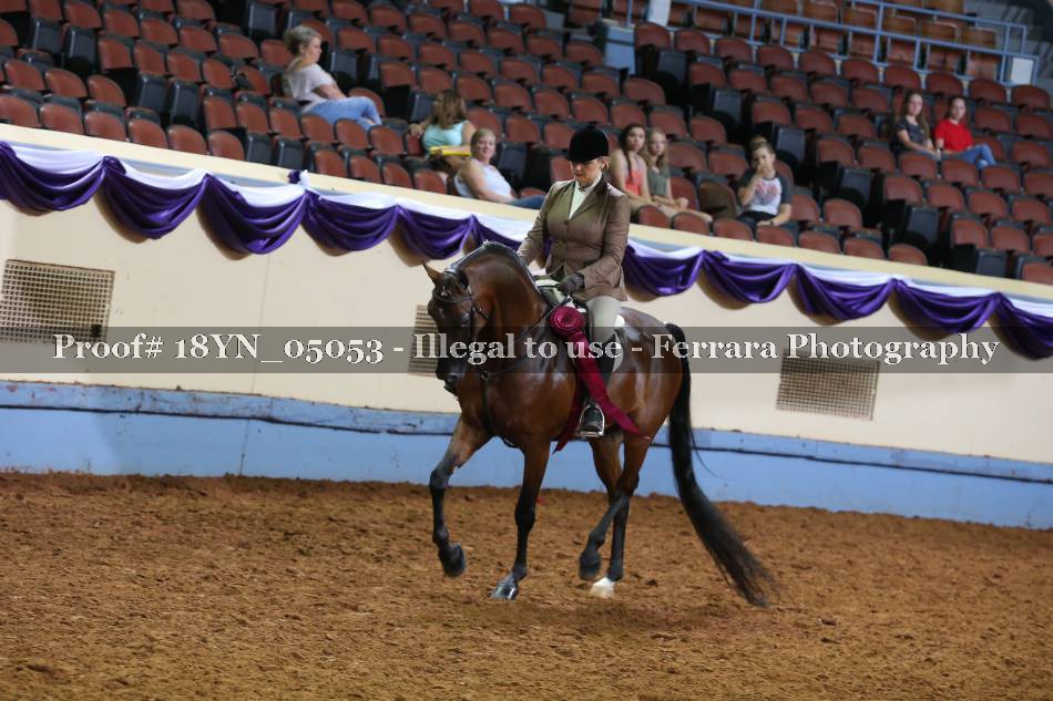 Proof 18YN_05053